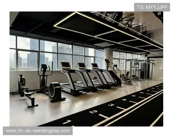 高端健身器材：奢华与专业的高端健身器材推荐